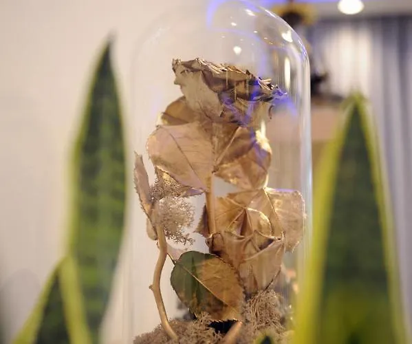 Golden Rose *